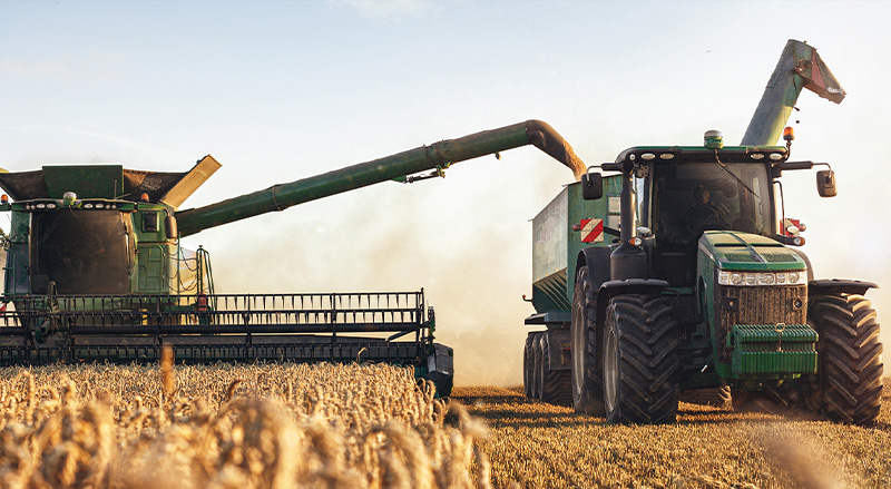 Harvestors in a field